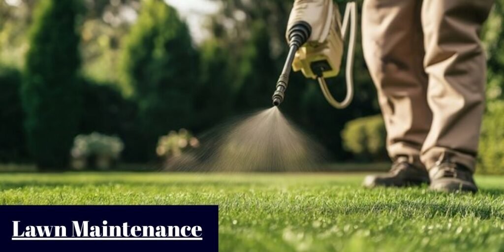 Lawn Maintenance
