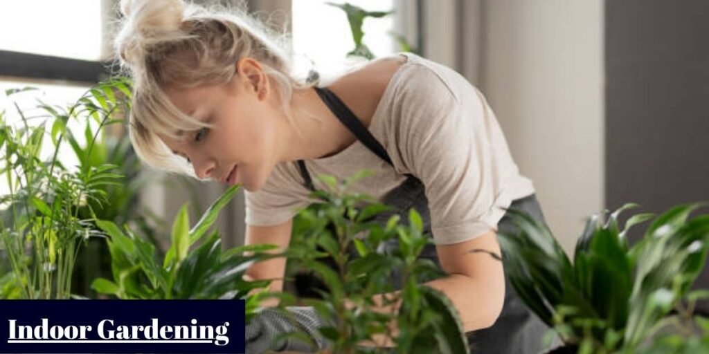 Indoor Gardening