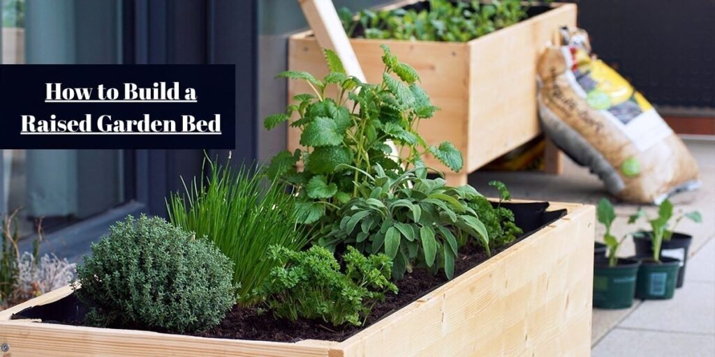 How to Build a Raised Garden Bed