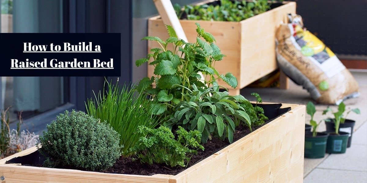 How to Build a Raised Garden Bed